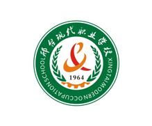 邢台现代职业学校(学校-教育vi设计)